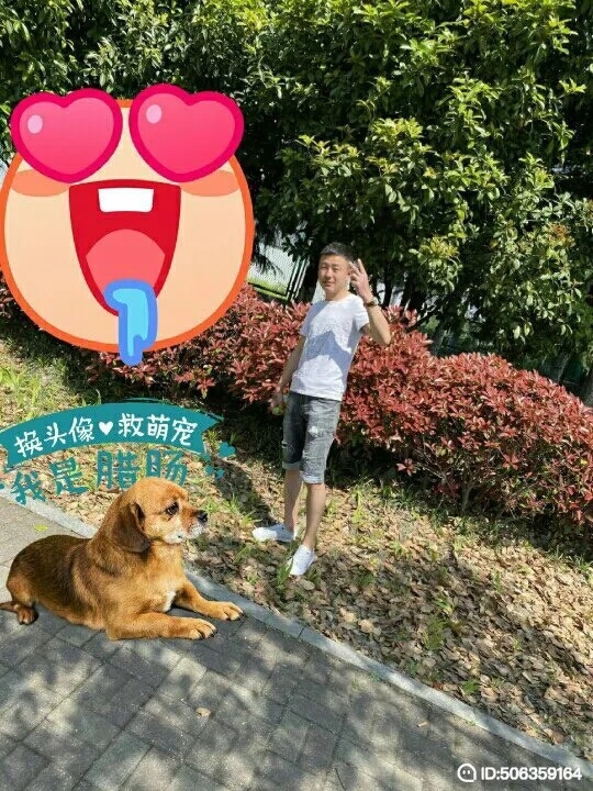 我若不坚强谁替我勇敢的第五张照片--肥西中老年相亲网